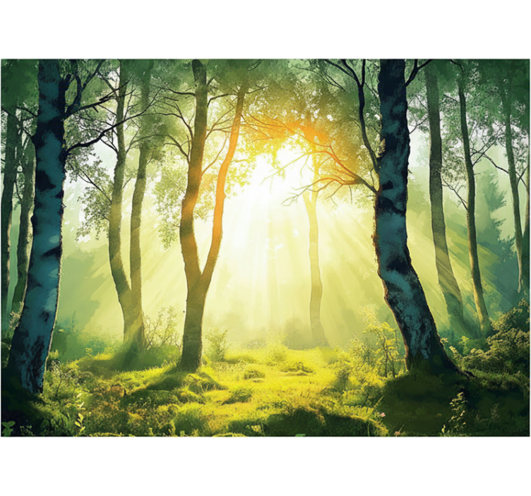 Forest wall mural sunlit birch tree design - TenStickers