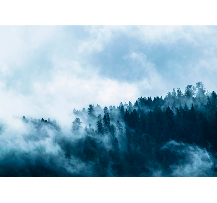 Winter misty forest wall mural - TenStickers