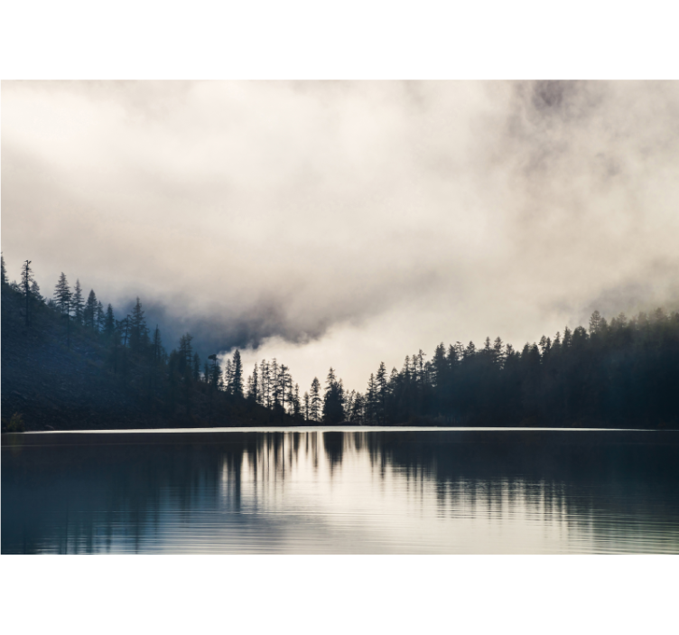 Misty Woodland Reflection landscape mural - TenStickers