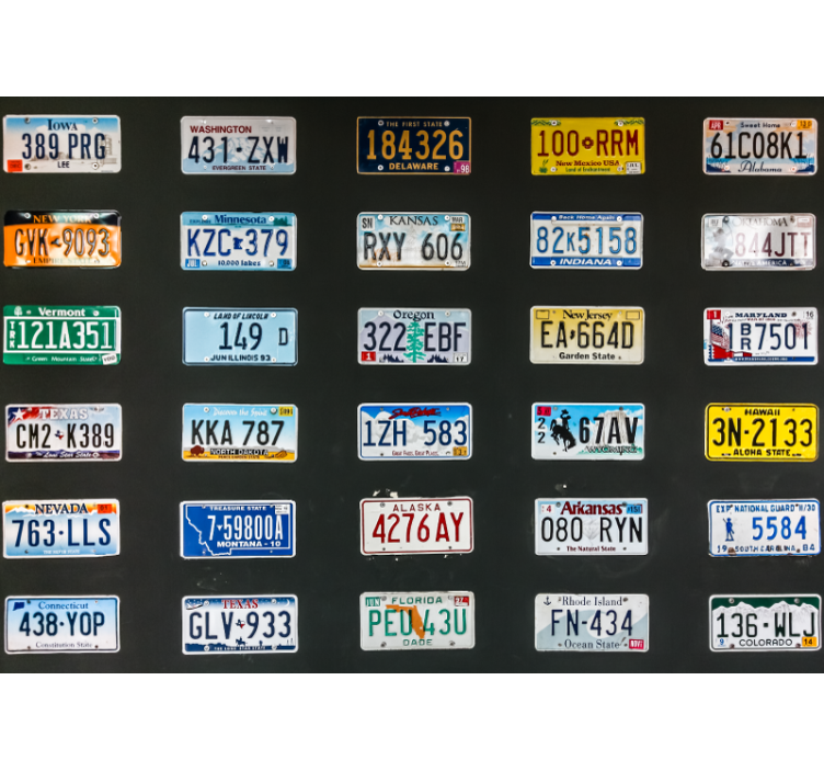 Vehicle wall mural colorful license plates - TenStickers