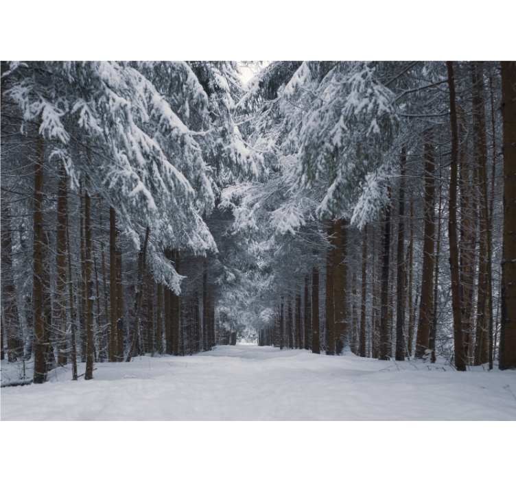 Snowy Pine Path forest wall mural - TenStickers