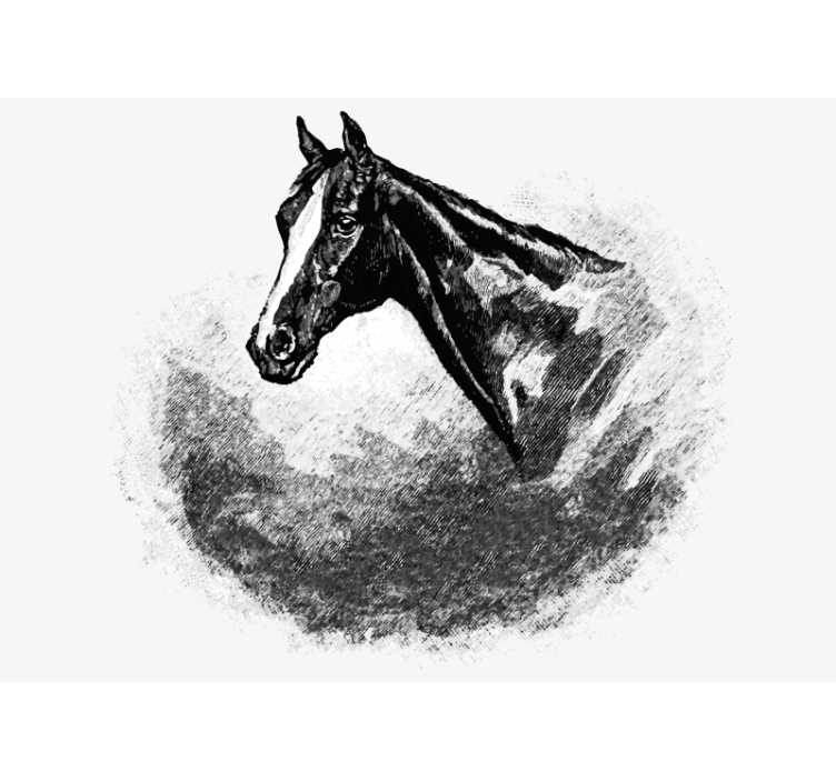 Animal mural stallion head art decor - TenStickers
