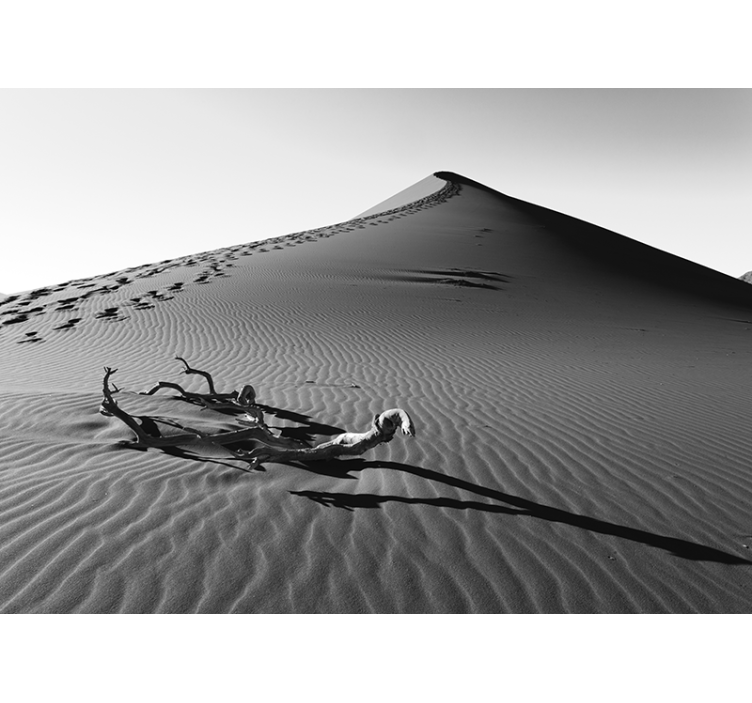 Footprints in Sand desert wall mural - TenStickers