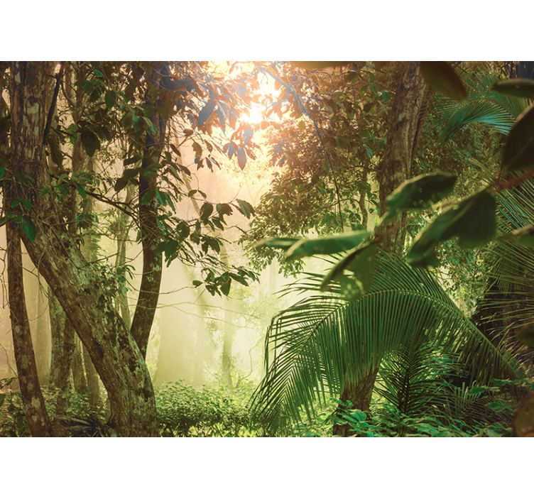 Amazonian life Forest Wall Mural - TenStickers