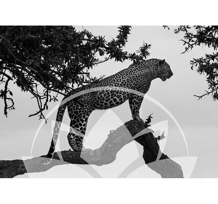 Leopard in Tree animal mural - TenStickers