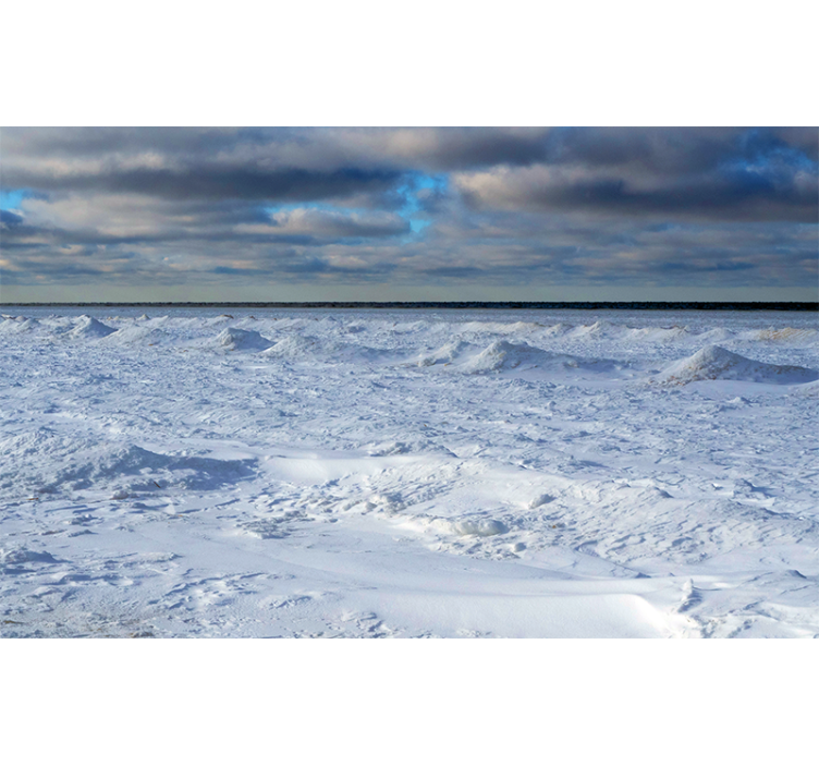 Frozen horizon nature wall mural - TenStickers