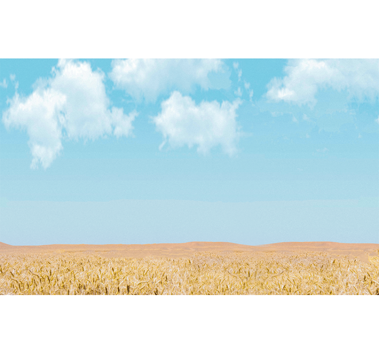 Sky and Wheat landscape mural - TenStickers