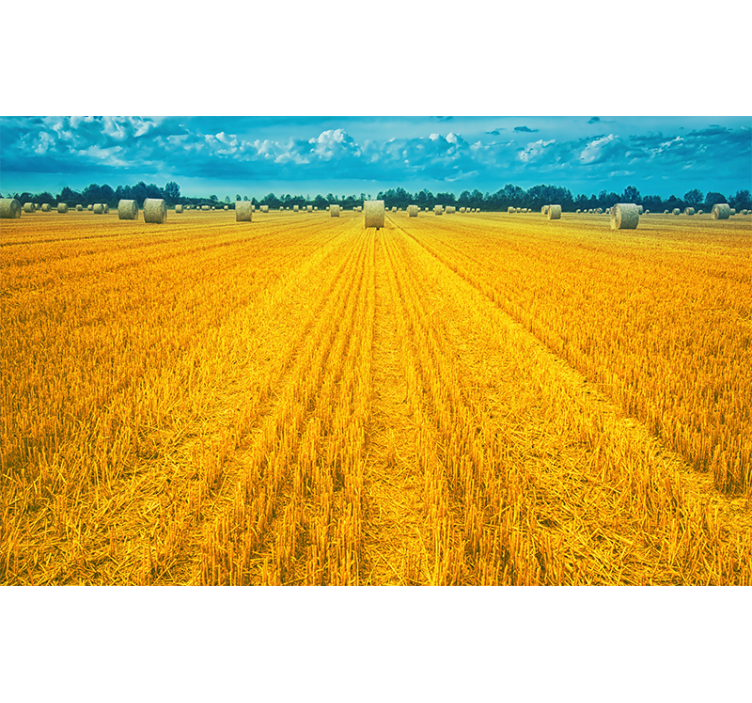 Golden Harvest Field landscape mural - TenStickers