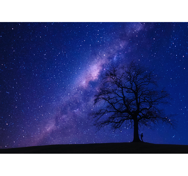 Astral Nightview space wall mural - TenStickers