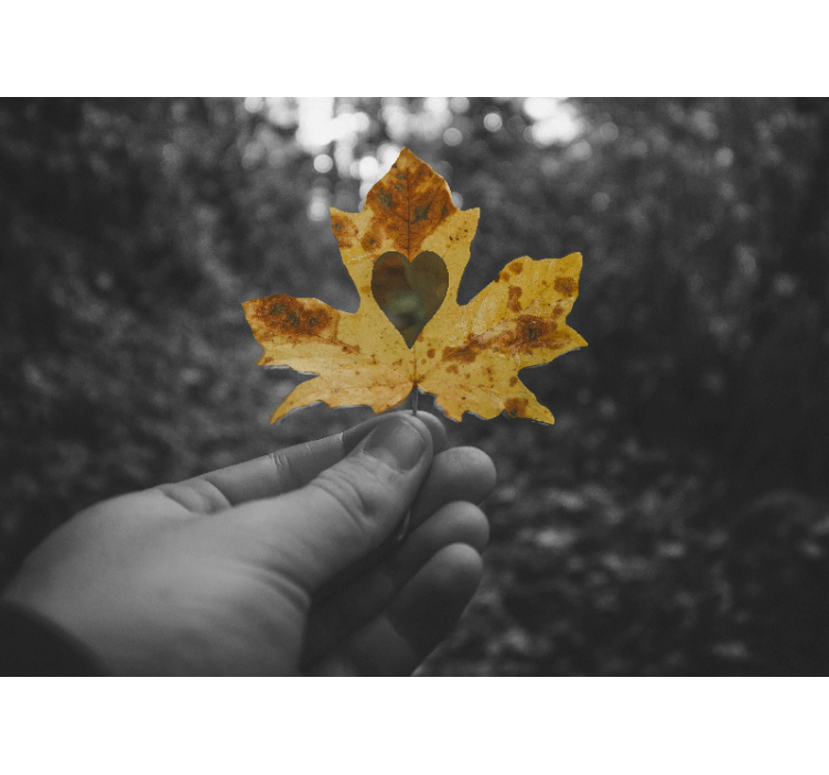 Heart-Shaped Leaf nature wall mural - TenStickers