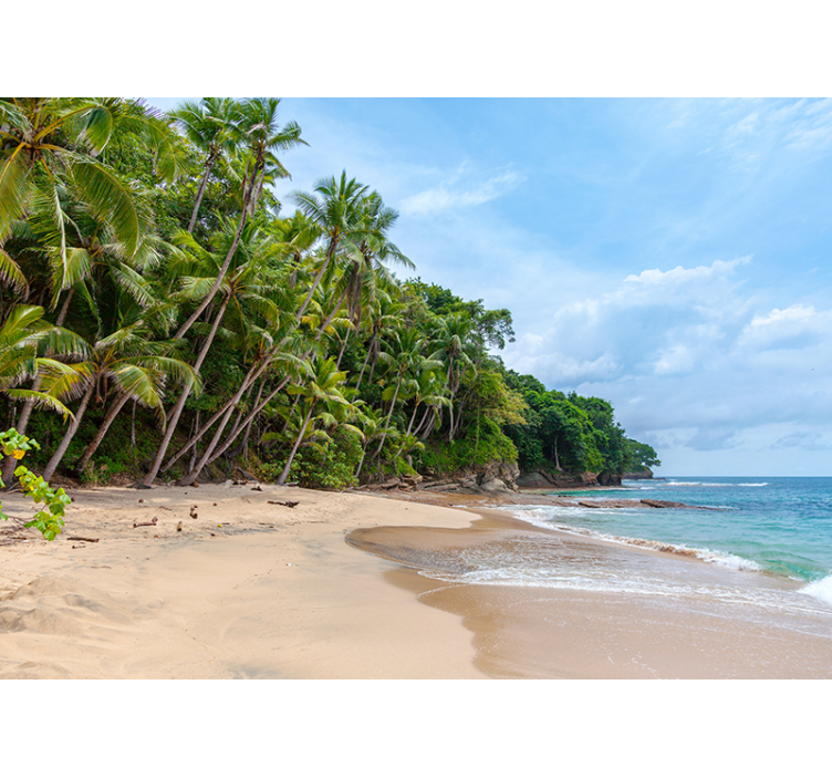 Nature wall mural tropical shore oasis - TenStickers