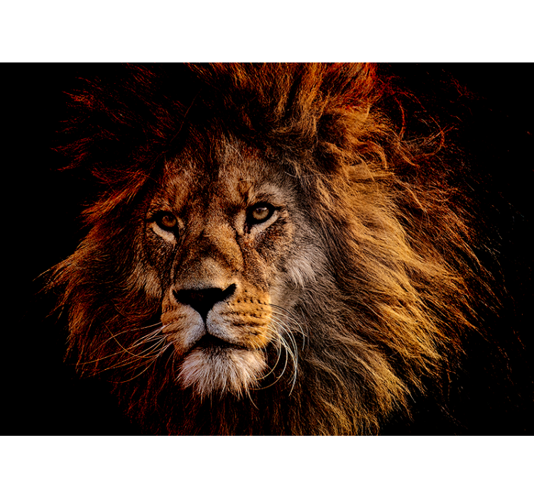 Lion wall mural majestic lion presence - TenStickers