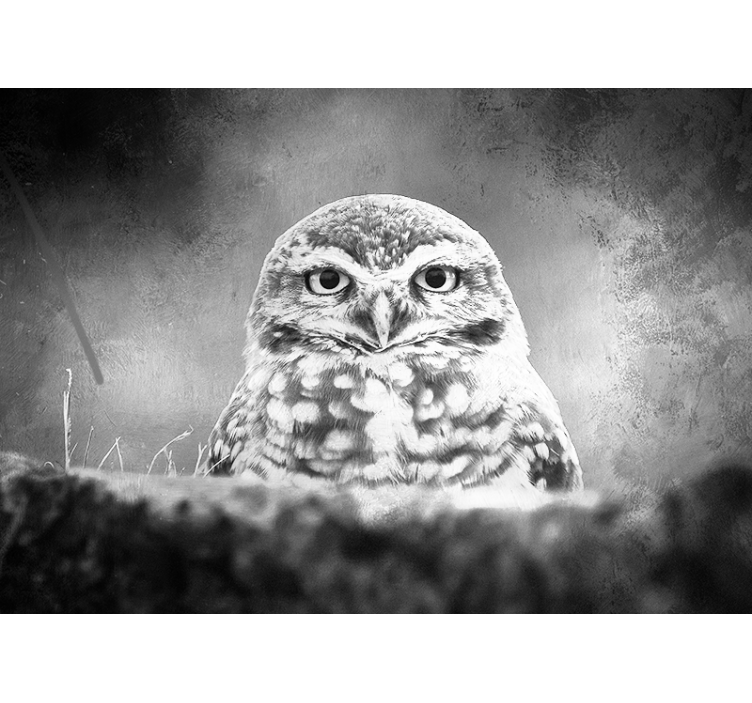 Majestic Owl Portrait animal mural - TenStickers