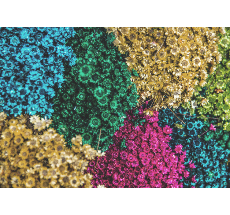 Flower mural colorful floral designs - TenStickers