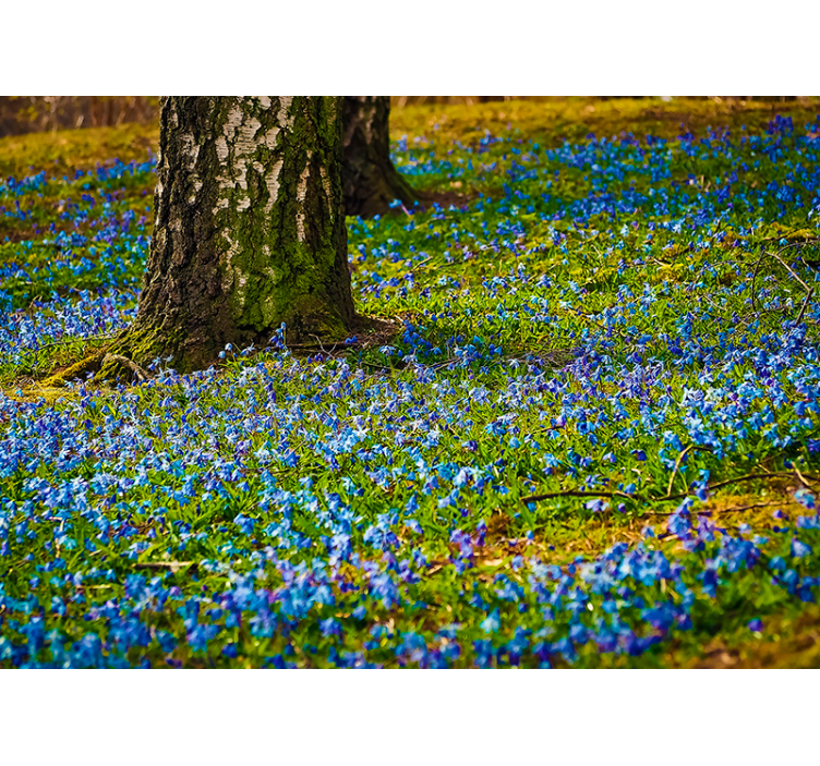 Flower mural bluebell meadow scene - TenStickers