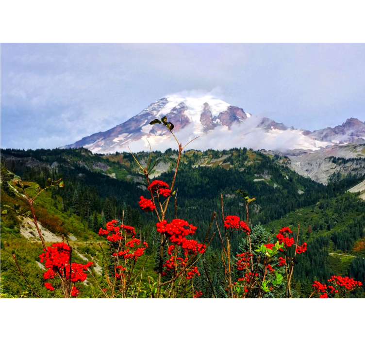 Landscape mural of snow-capped mountain - TenStickers