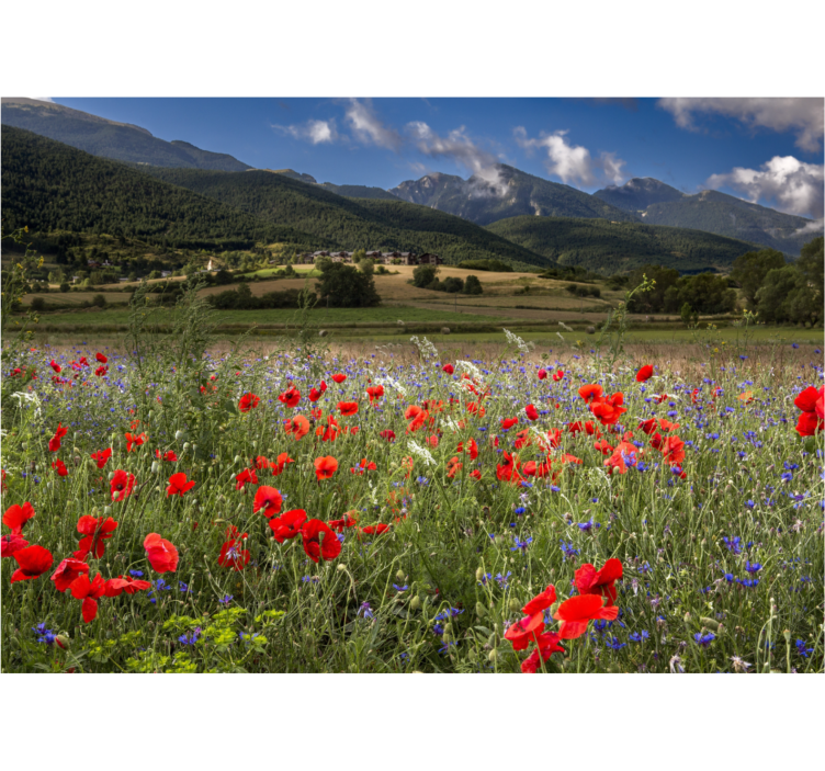 Flower mural poppy meadow landscape - TenStickers