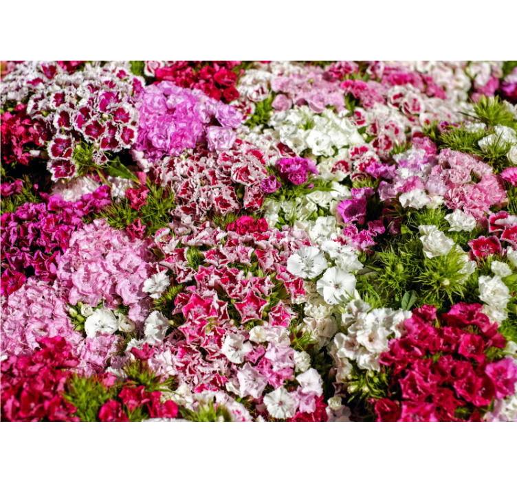 Flower mural vibrant floral garden - TenStickers