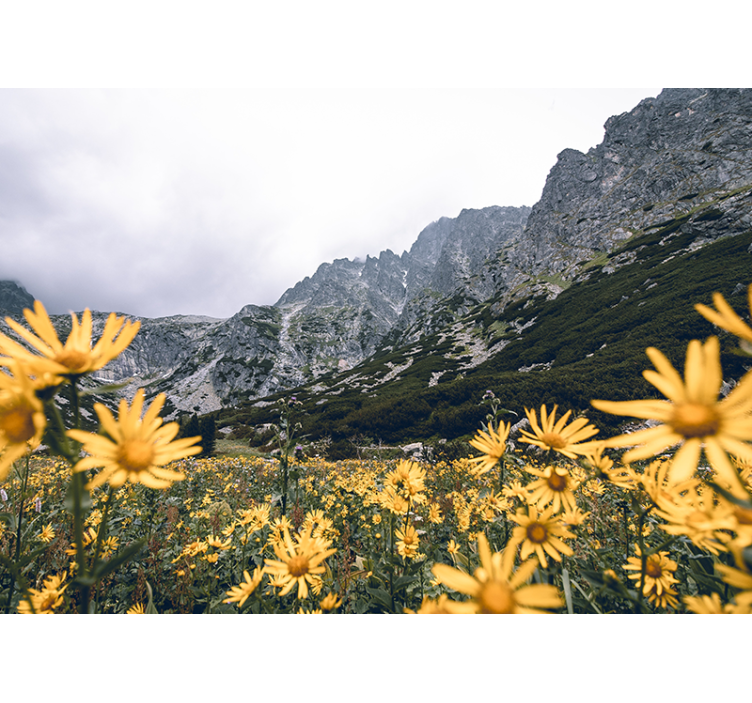 Yellow flower meadow flower mural - TenStickers