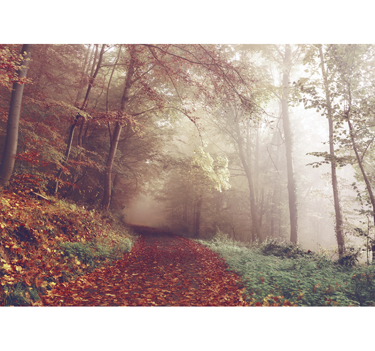 Forest wall mural autumn trail landscape - TenStickers