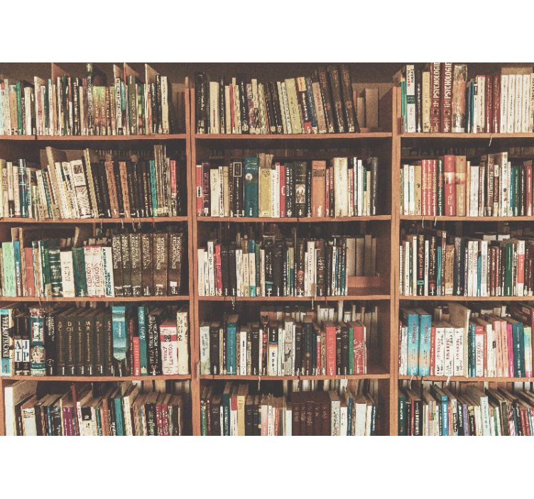 Painting mural bookshelf with literature - TenStickers