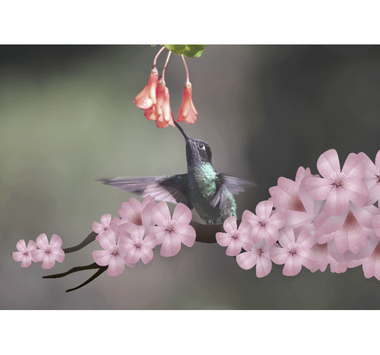 Animal mural hummingbird and blooms - TenStickers