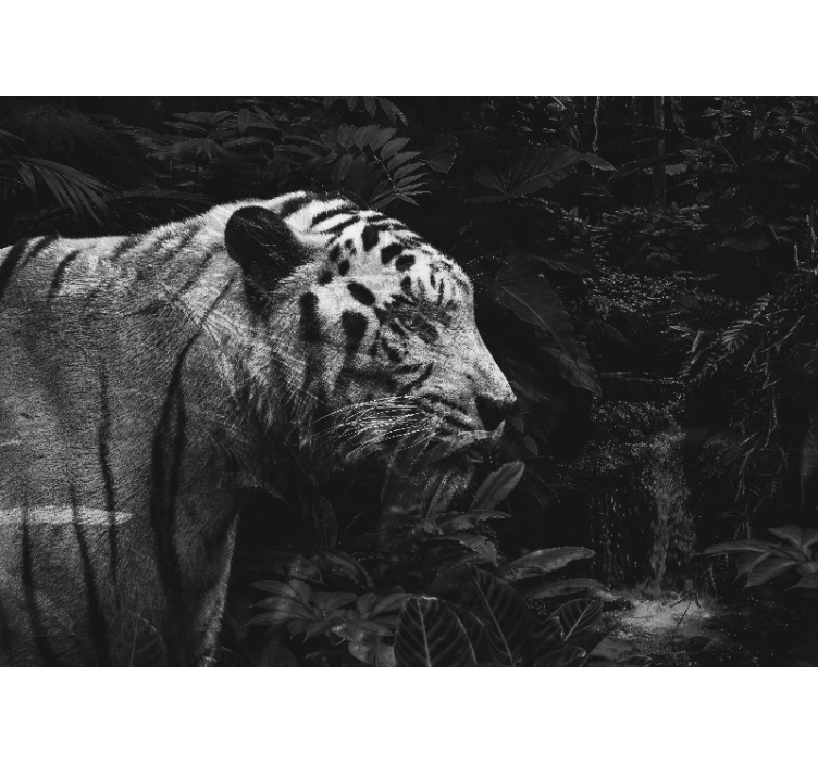 Majestic White Tiger animal mural - TenStickers