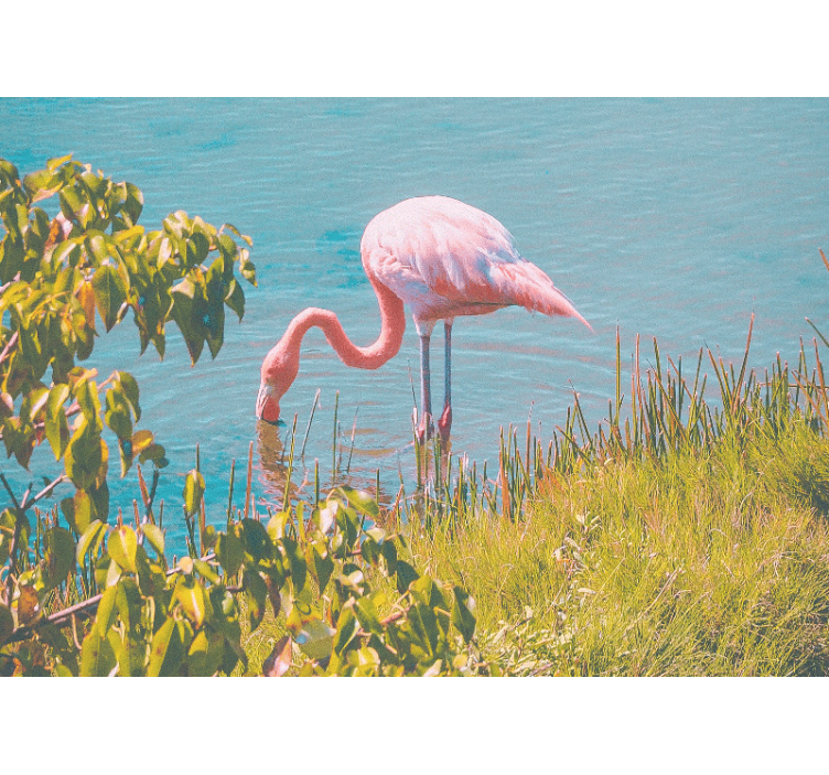 Pink Flamingo Serenity animal mural - TenStickers