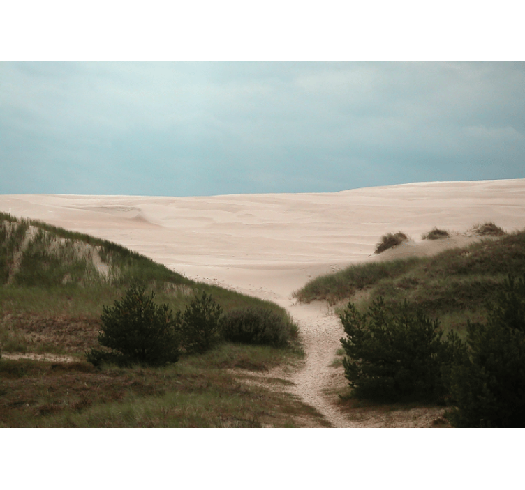 Landscape mural sandy dune path - TenStickers