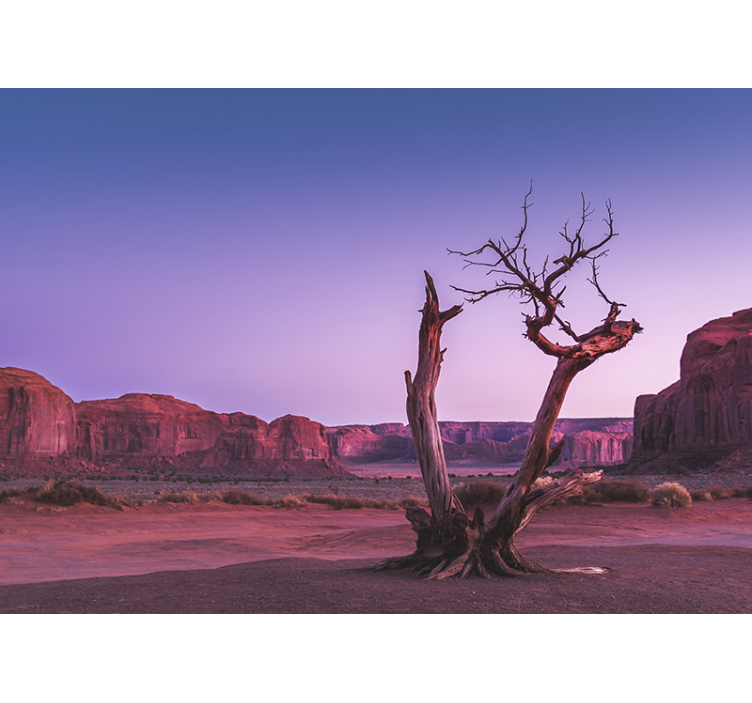 Landscape mural desert stone formation - TenStickers