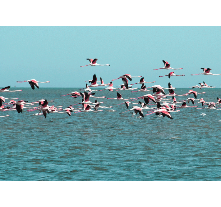 Animal mural flamingos above water - TenStickers