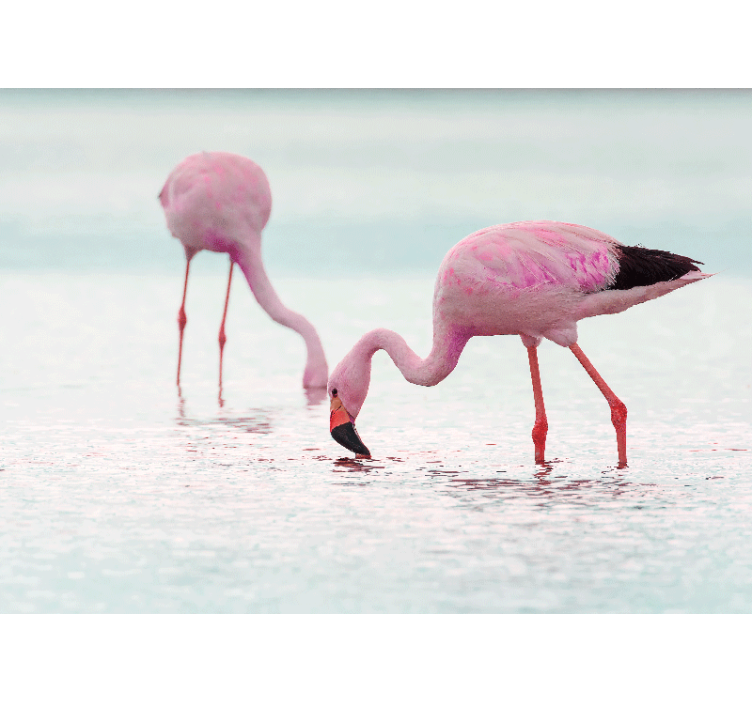 Animal mural flamingo feeding scene - TenStickers