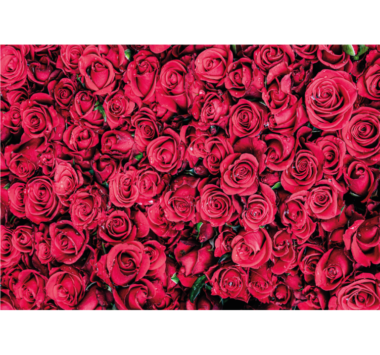Rose wall mural vibrant rose blossoms - TenStickers