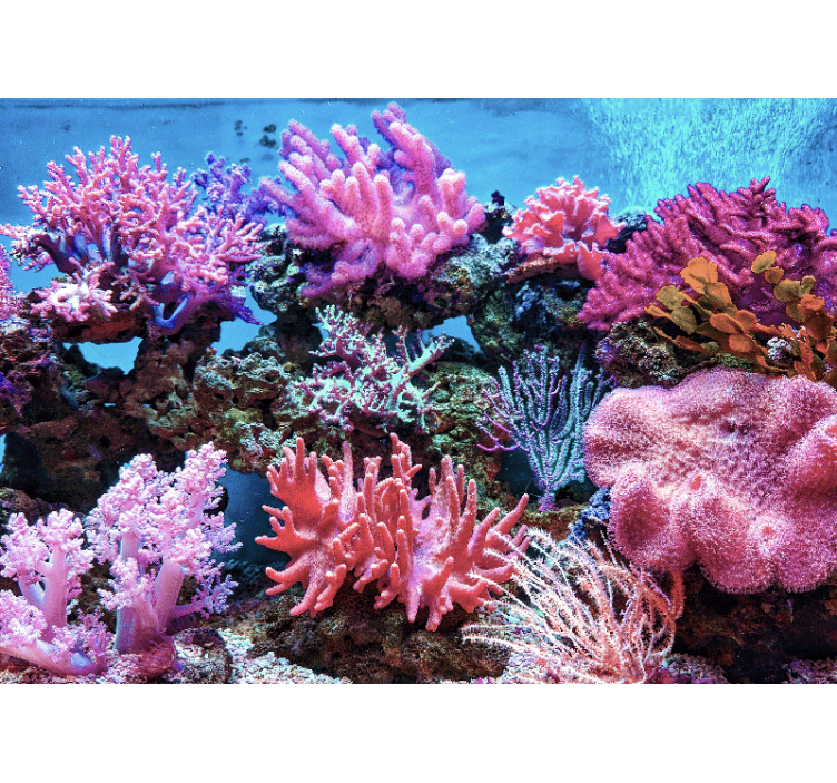 Aquatic Coral Scene under the sea mural - TenStickers