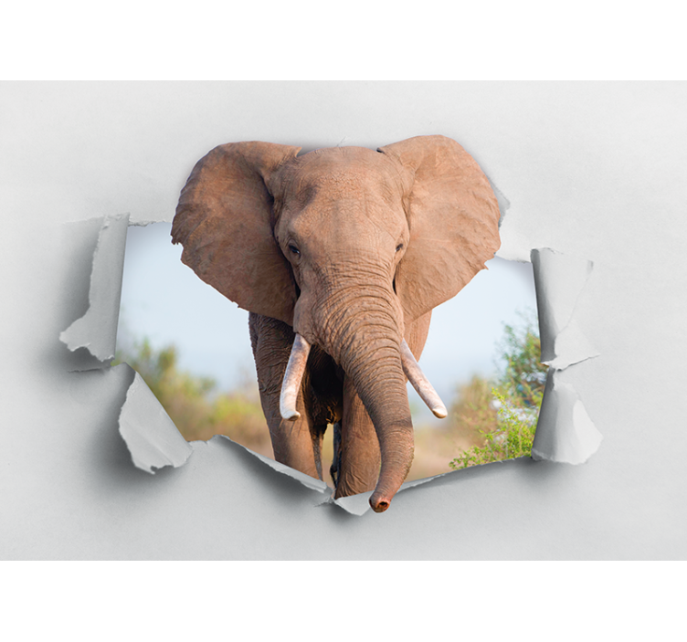Elephant breaking the 3D Wall Mural - TenStickers