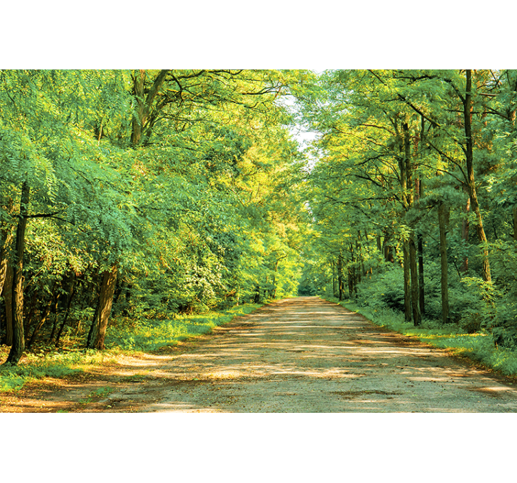 Nature wall mural lush green pathway - TenStickers