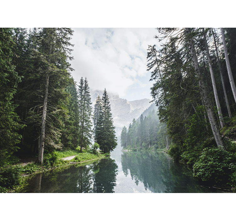 Landscape mural tranquil forest echo - TenStickers