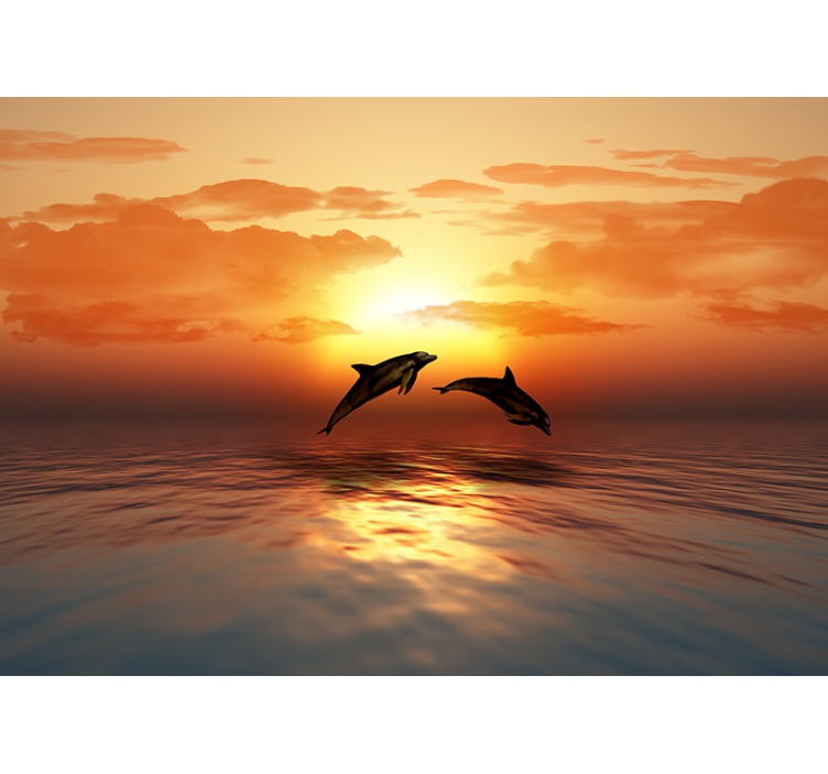 Dolphins Jumping Sunset animal mural - TenStickers