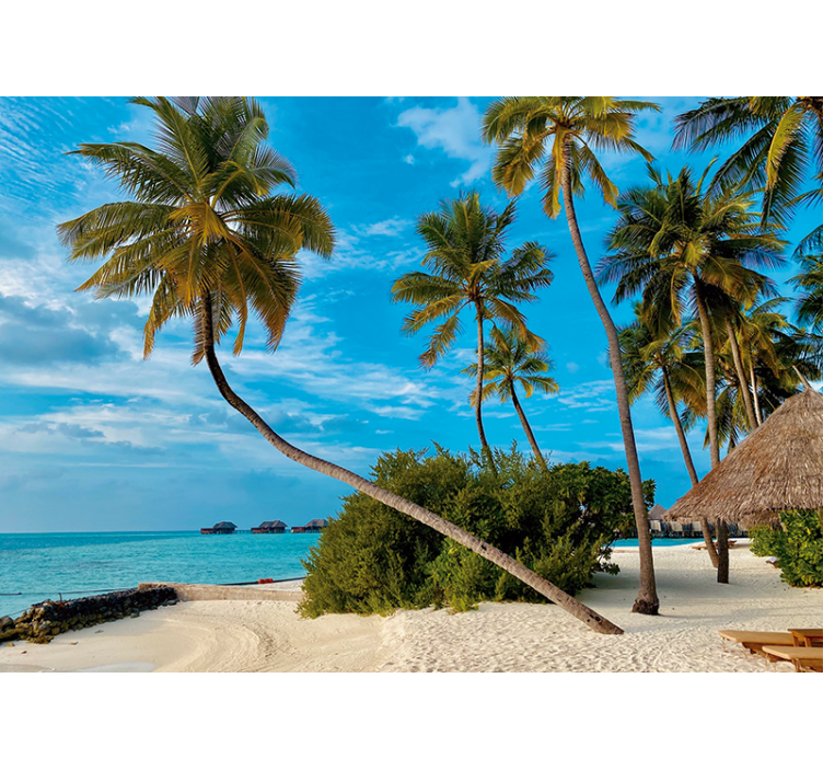 Nature wall mural tropical palm landscape - TenStickers