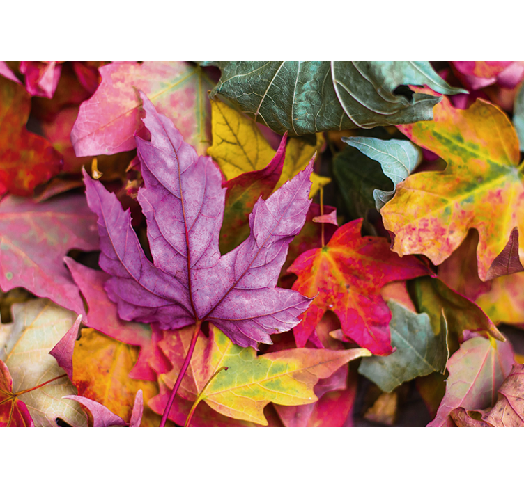 Flower mural colorful leaf designs - TenStickers