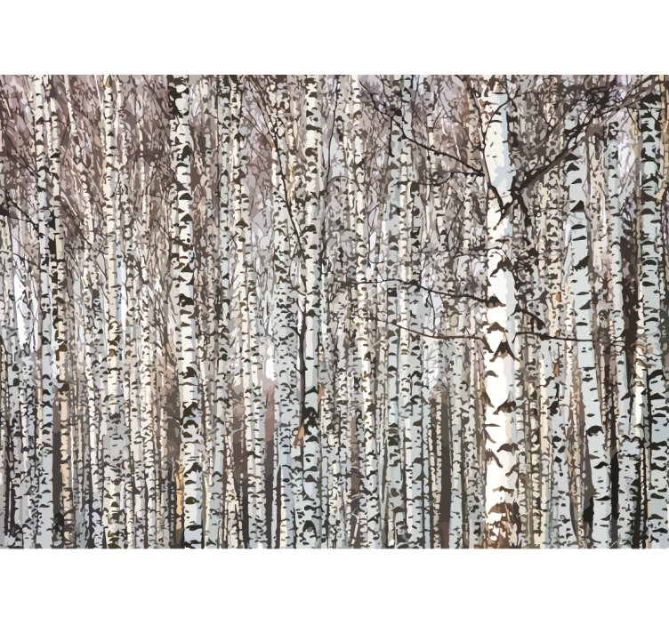 Tree wall mural birch tree forest - TenStickers