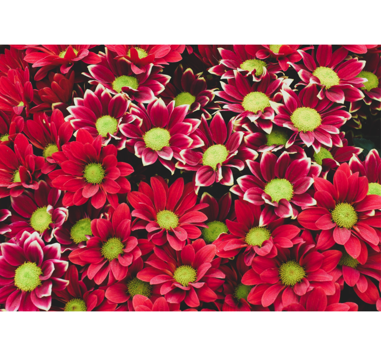 Flower mural crimson blossom design - TenStickers