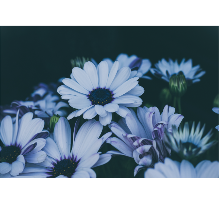 Flower mural serene floral display - TenStickers