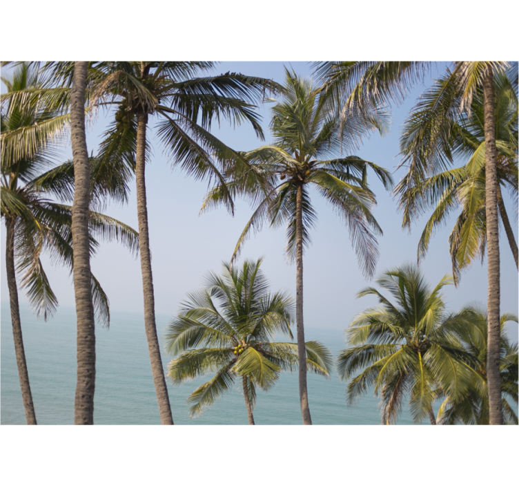 Nature wall mural palm trees landscape - TenStickers