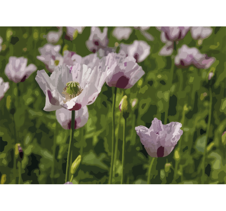 Poppy wall mural floral grace - TenStickers