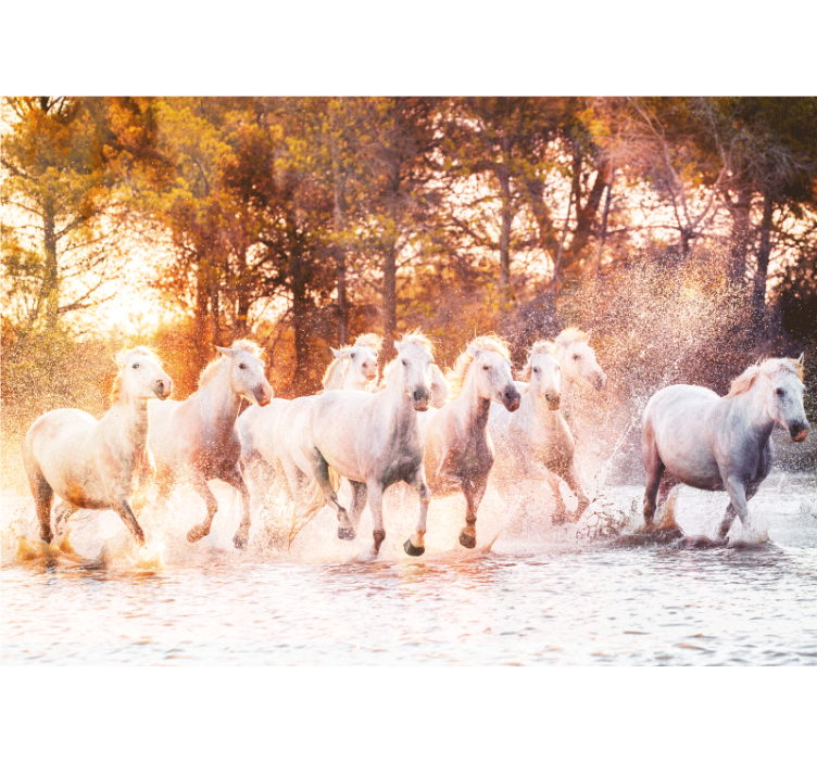 Wild horses warm sunset view wall mural - TenStickers