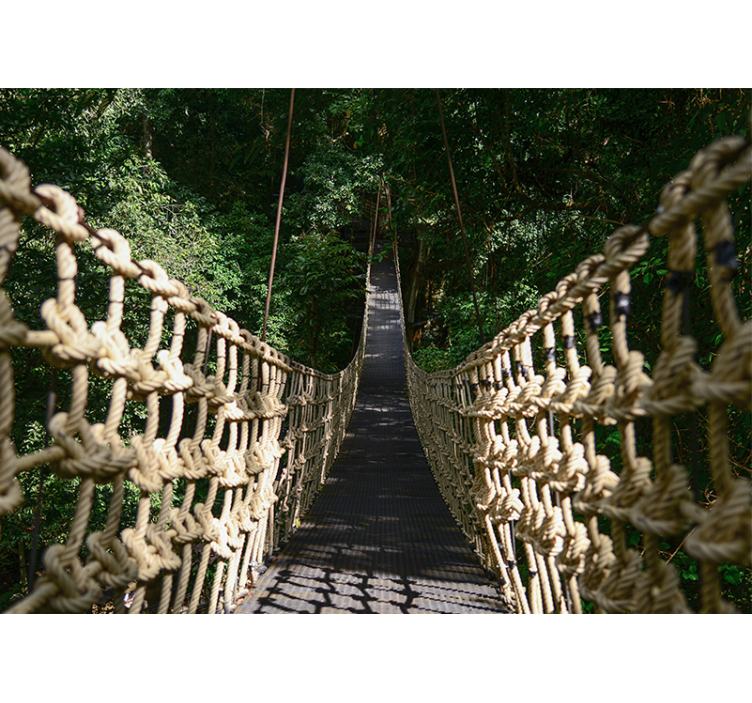 Nature wall mural suspended forest path - TenStickers
