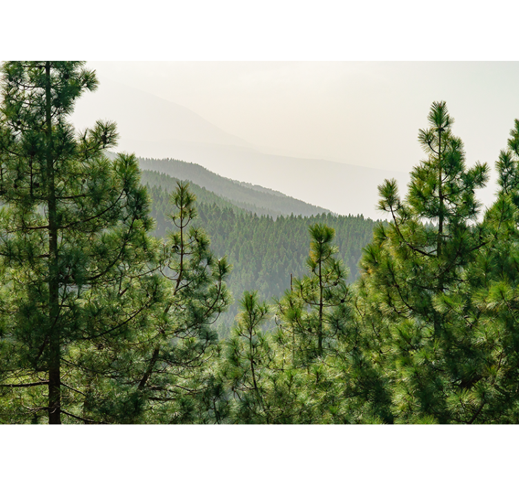 Nature wall mural lush greenery landscape - TenStickers