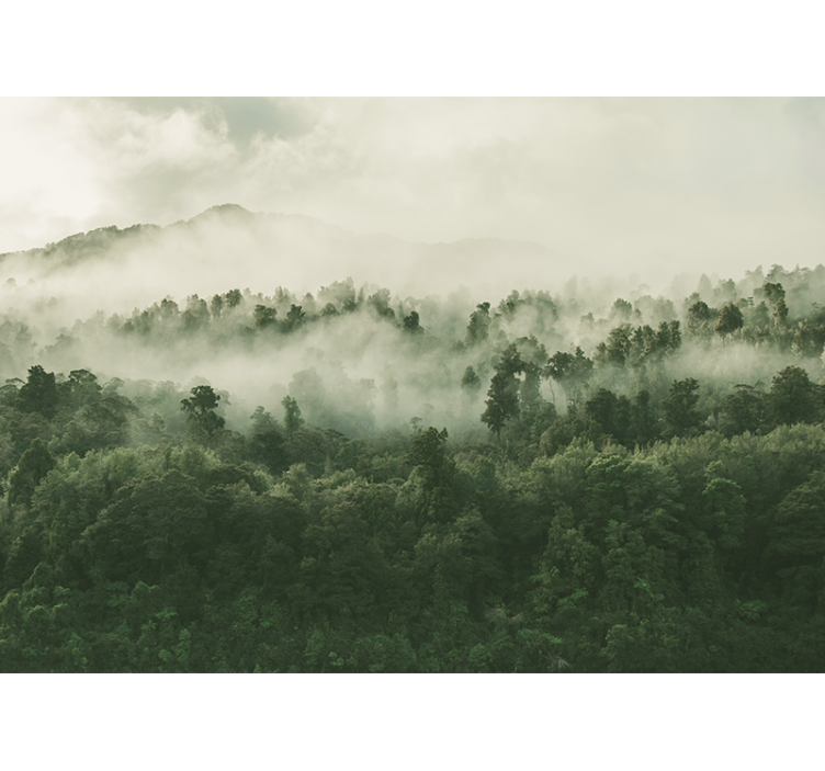 Nature wall mural hazy woodland landscape - TenStickers