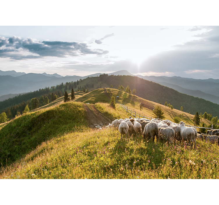 Landscape mural sheep on hillside - TenStickers
